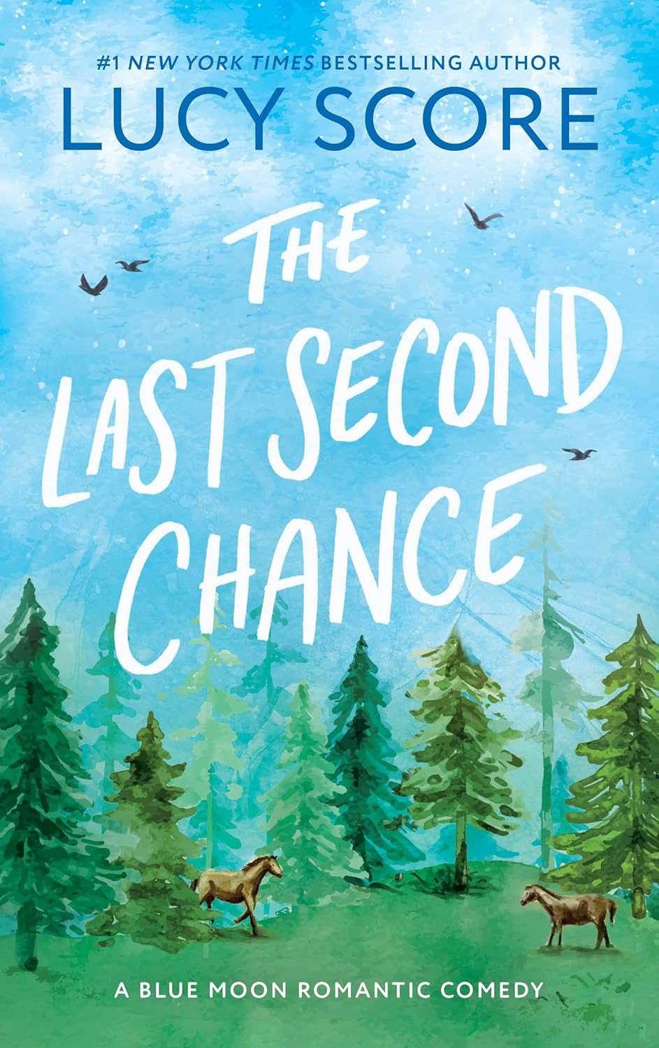 The Last Second Chance-Paperback