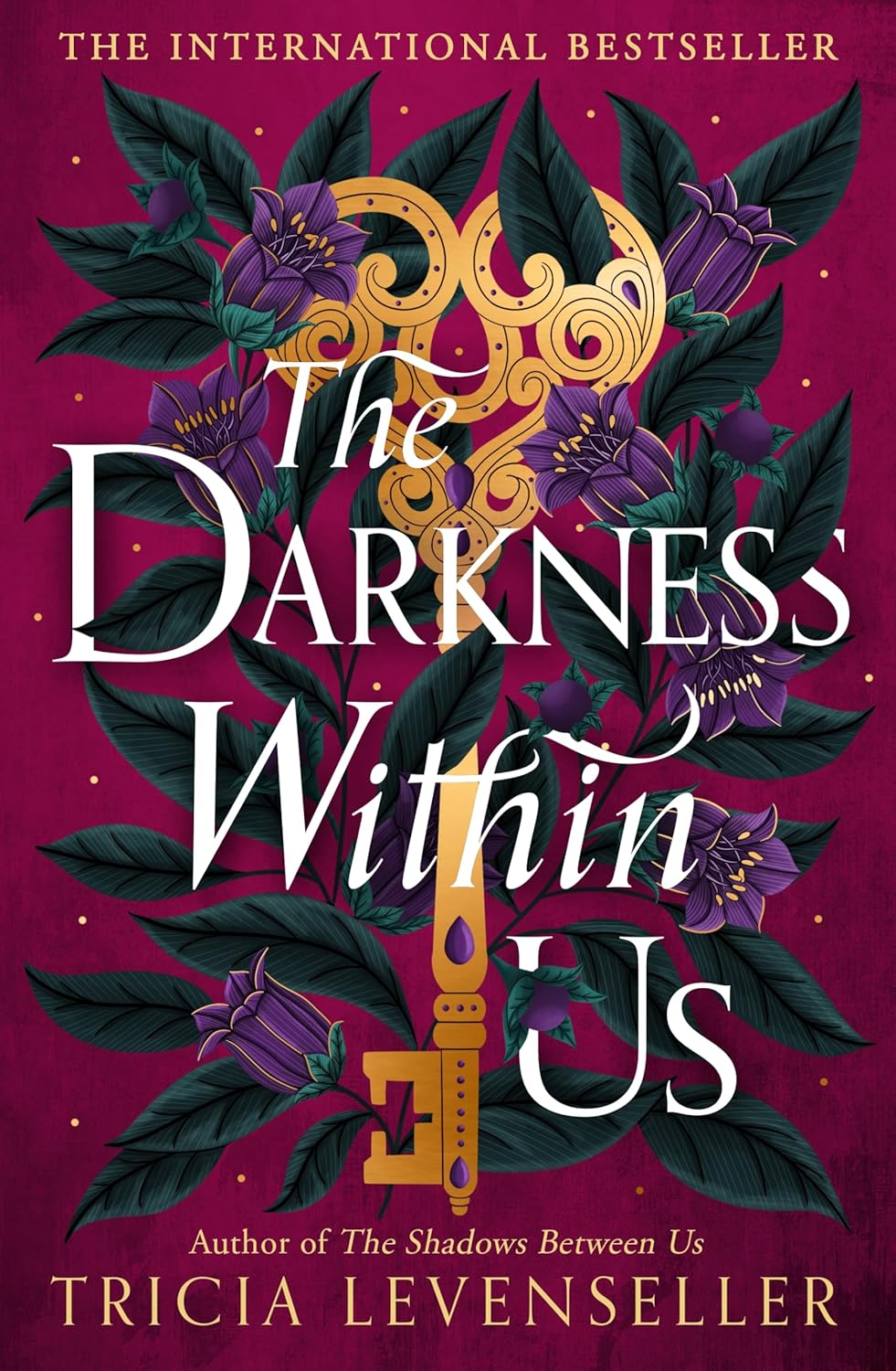 The Darkness Within Us Paperback