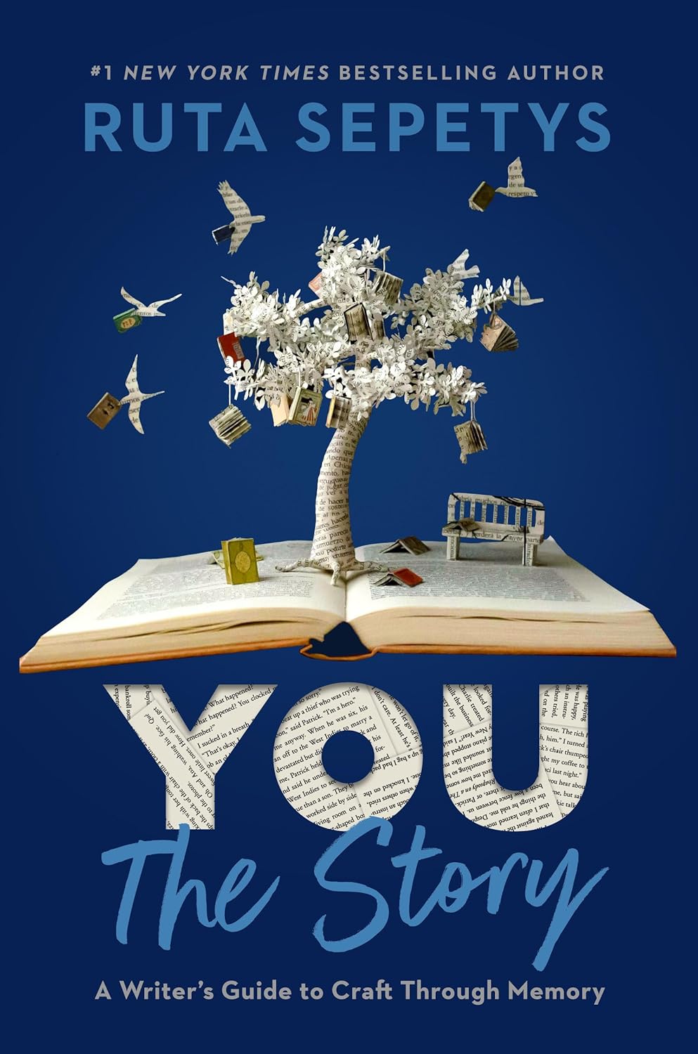 You: The Story: A Writer's Guide to Craft Through Memory Paperback