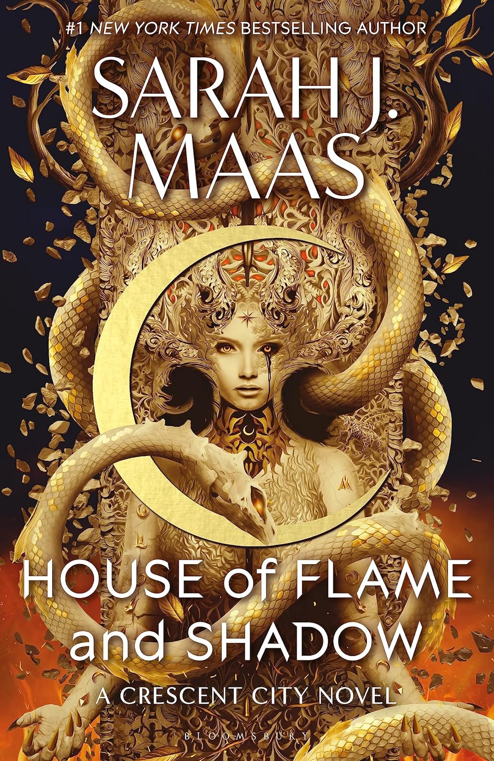 House of Flame and Shadow-Hardcover