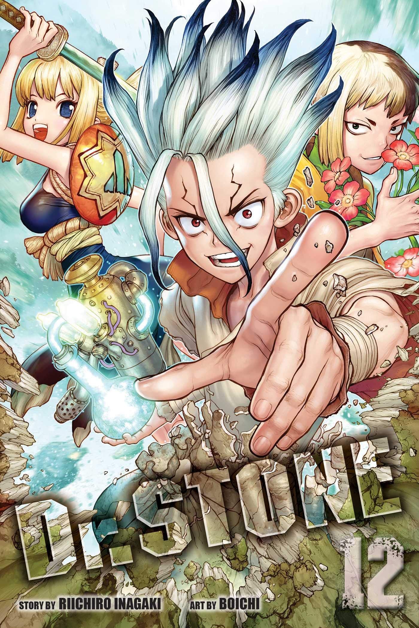 Dr Stone Vol. 12 Paperback