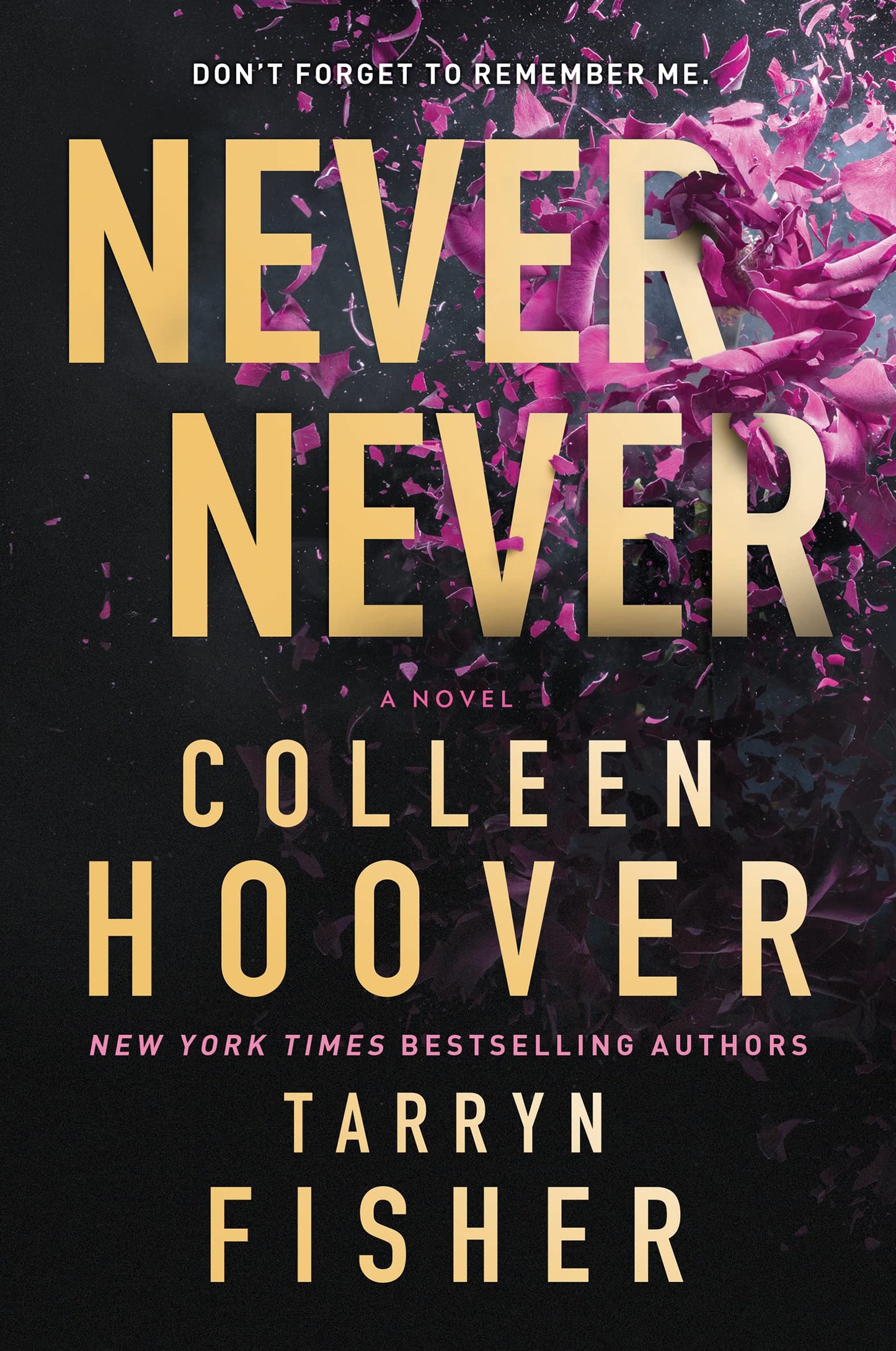 Never Never-Paperback