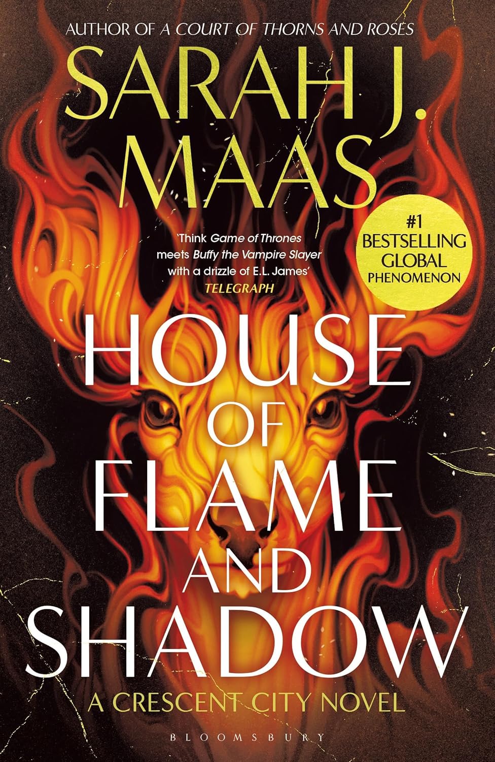 House of Flame and Shadow-Paperback