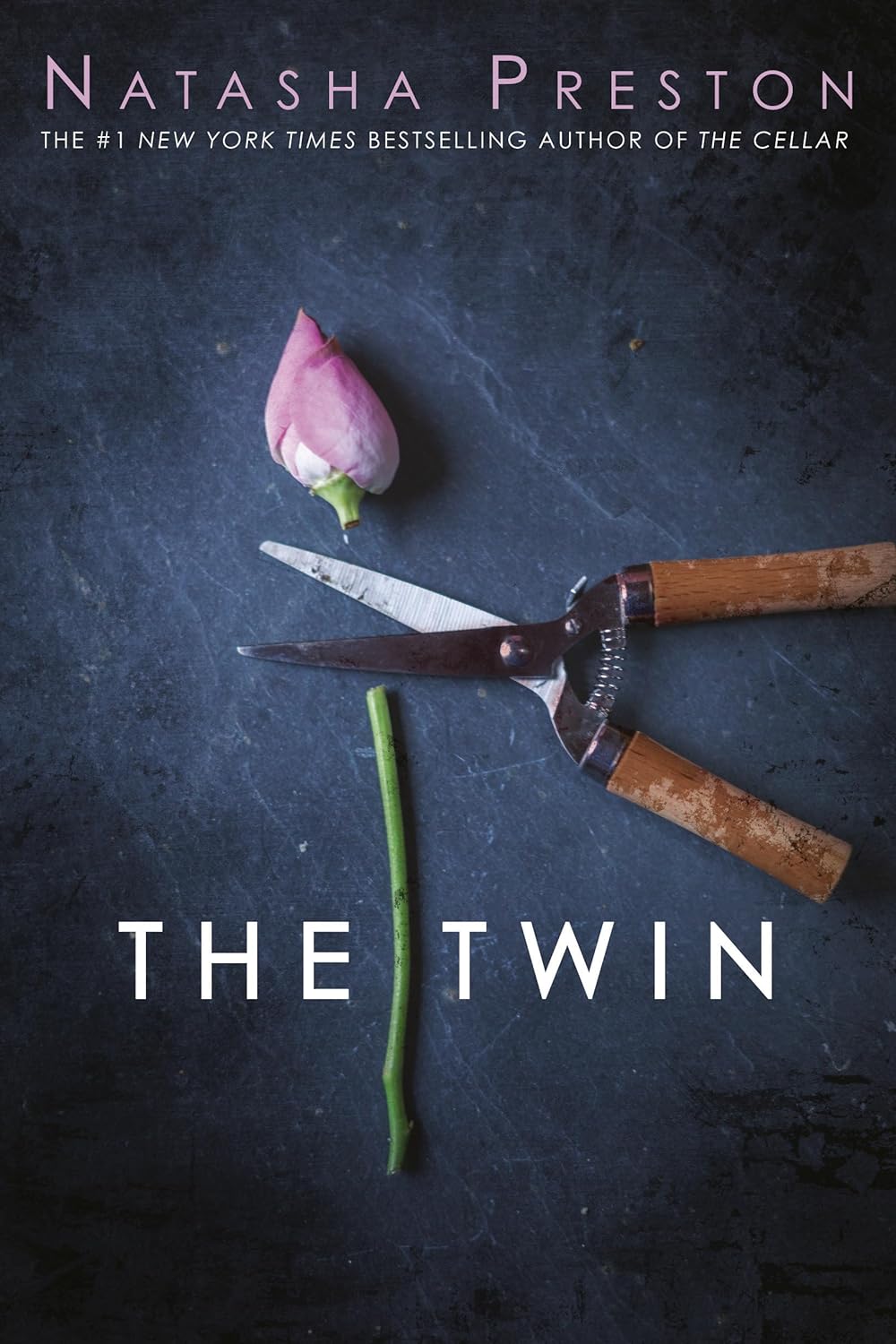 The Twin Paperback