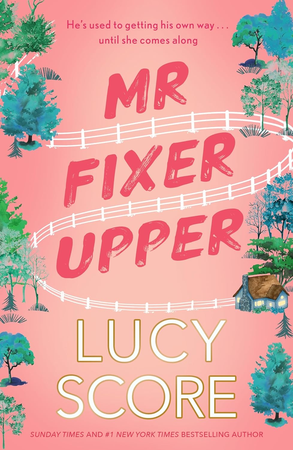 Mr. Fixer Upper Paperback