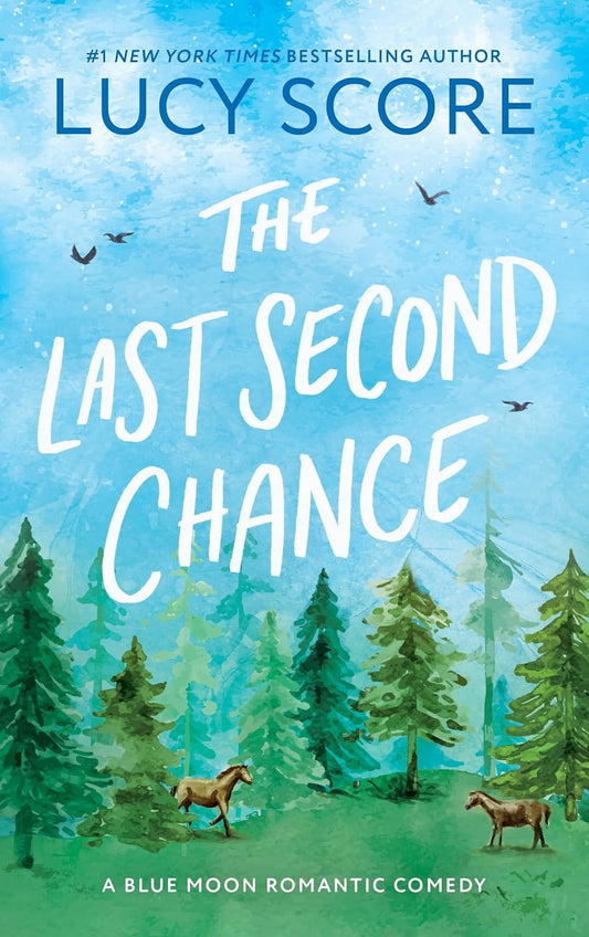 The Last Second Chance-Paperback