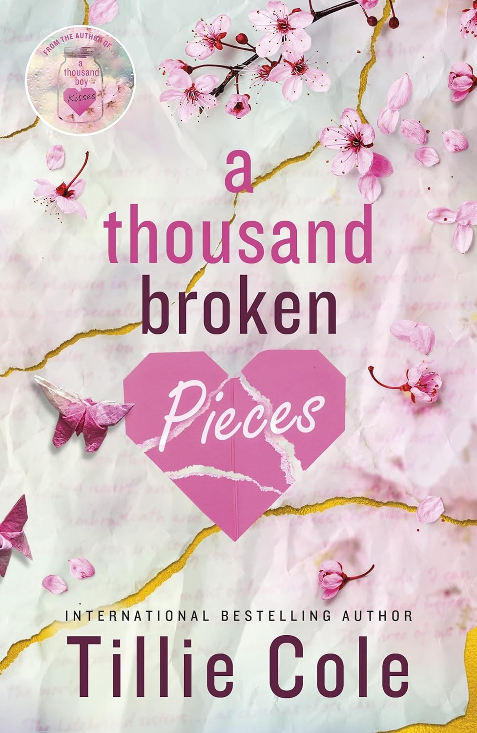 A Thousand Broken Pieces Paperback