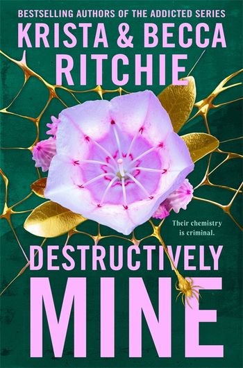 Destructively Mine-Paperback