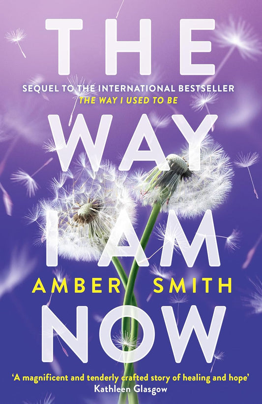 The Way I Am Now (The Way I Used to Be) Paperback