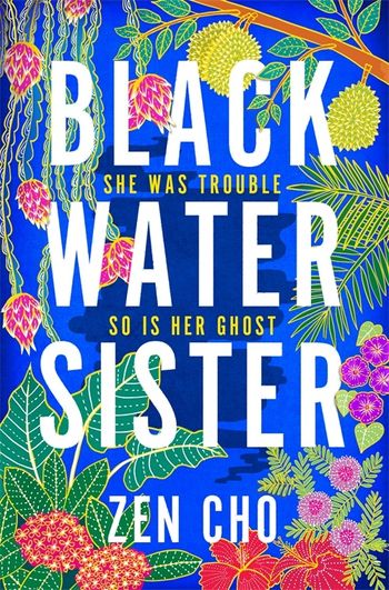 Black Water Sister-Paperback