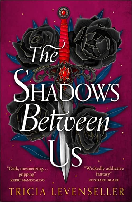 The Shadows Between Us Paperback