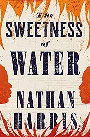 THE SWEETNESS OF WATER-Paperback